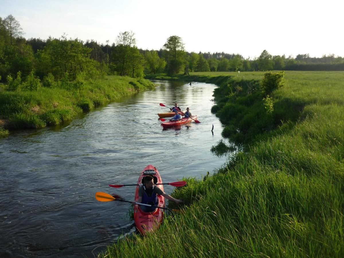 Кемпинги Kemping Nad Drzewiczką Drzewica